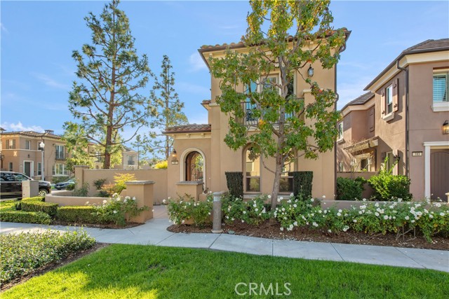 Front Image Thumbnail for CROC25269786