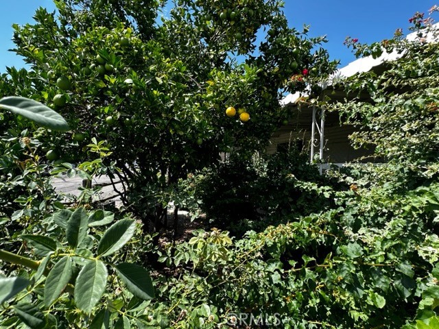 1515 Capalina #90, San Marcos, CA, 92069 1515 Capalina #90, San Marcos, CA, 92069