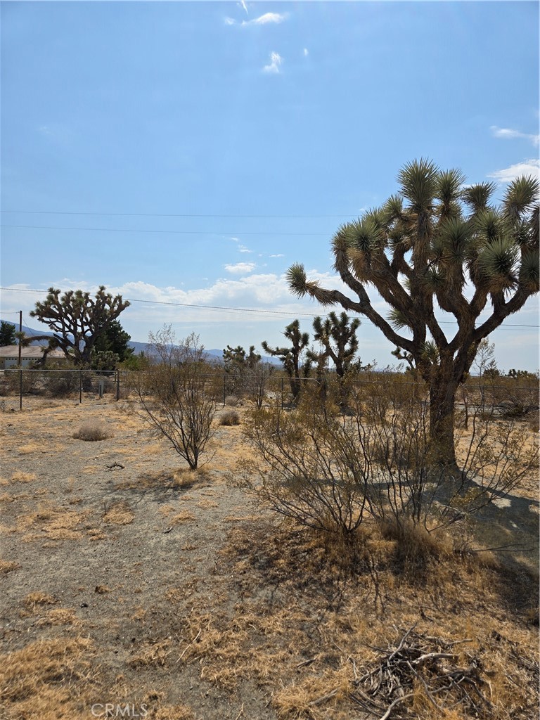https://media.crmls.org/medias/897d3b0a-e806-40da-88bf-f5772b8fe846.jpg?preset=X-Large