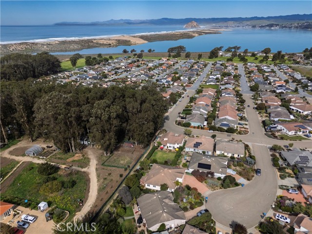 Detail Gallery Image 52 of 59 For 175 Marianela, Los Osos,  CA 93402 - 4 Beds | 3/1 Baths