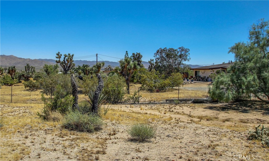 MLS #JT25238797 image #33