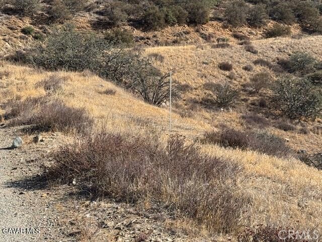 Detail Gallery Image 9 of 14 For 4700 Shannon View Rd, Acton,  CA 93510 - – Beds | – Baths