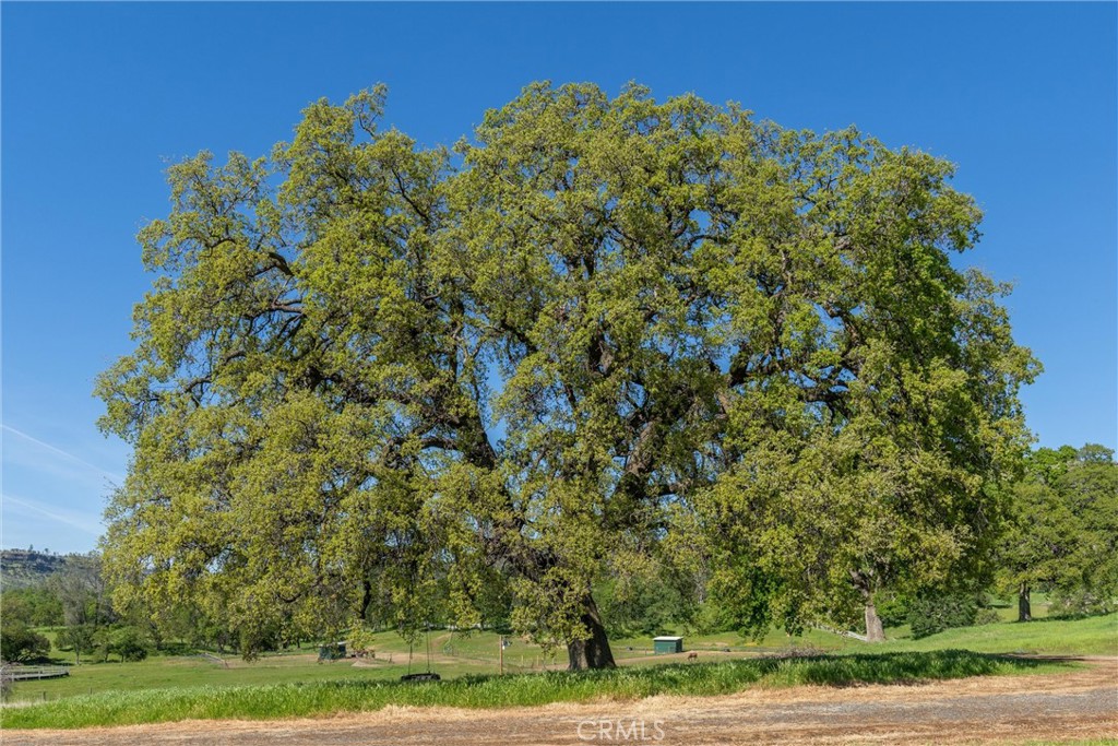 https://media.crmls.org/medias/898c8092-b106-4774-b641-f6321ae6e02c.jpg?preset=X-Large