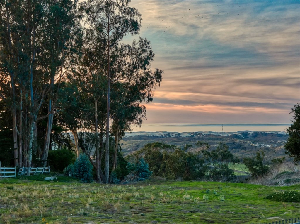 0 Via Papagallo, Arroyo Grande, California 93420, ,Land,For Sale,0 Via Papagallo,CRPI23213796