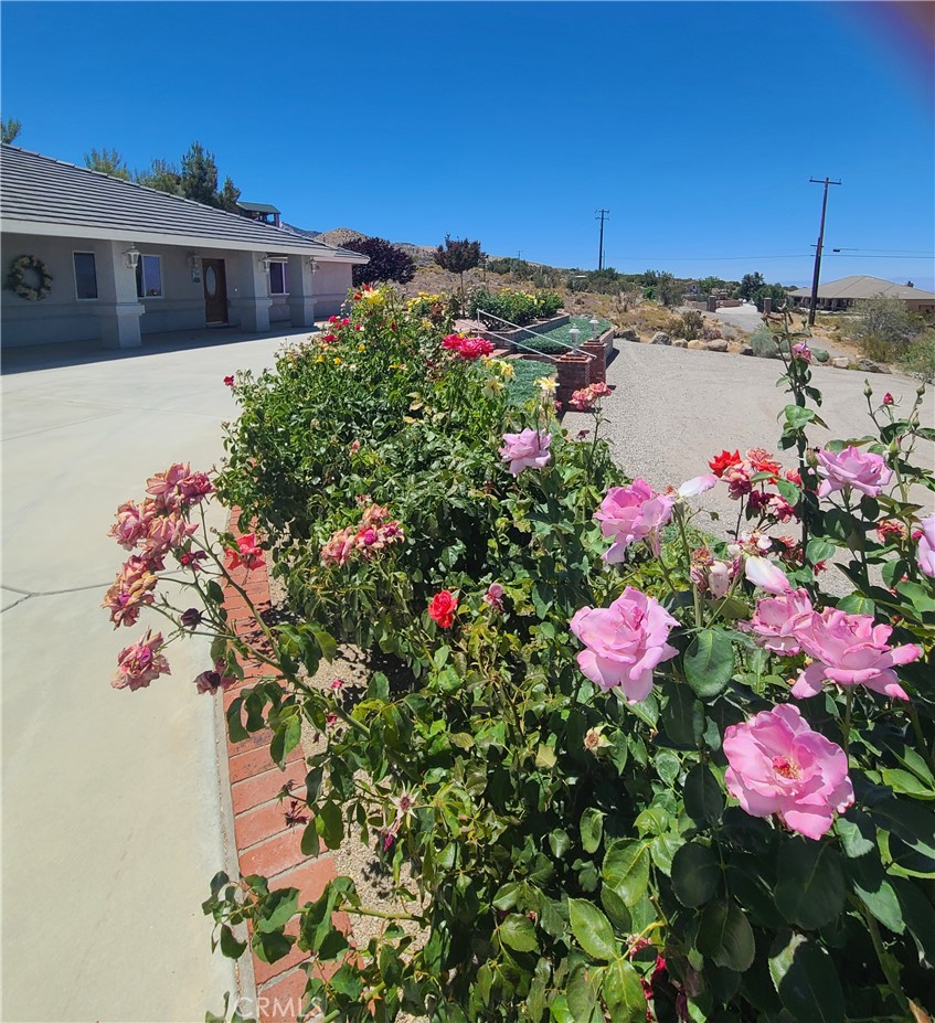 89991F9D 3E4D 4181 A6Cf 0Ca0B40E5E58 325 Canyon Road, Pinon Hills, Ca 92372 &Lt;Span Style='BackgroundColor:transparent;Padding:0Px;'&Gt; &Lt;Small&Gt; &Lt;I&Gt; &Lt;/I&Gt; &Lt;/Small&Gt;&Lt;/Span&Gt;