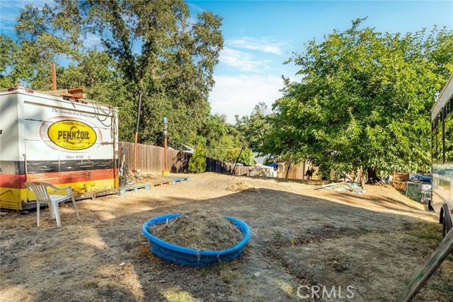 Back yard