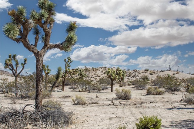 Detail Gallery Image 6 of 27 For 1 Avalon Ave, Yucca Valley,  CA 92284 - – Beds | – Baths