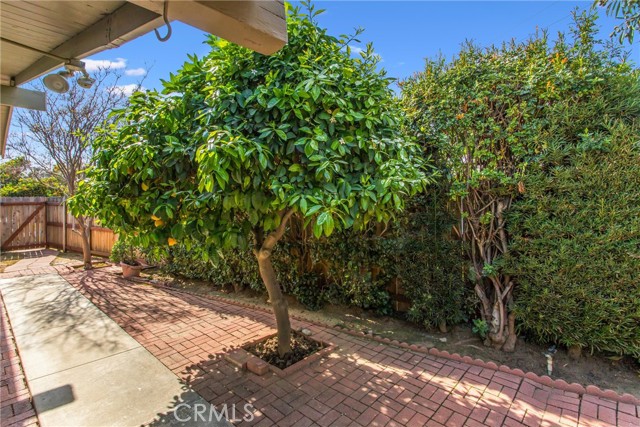 Detail Gallery Image 21 of 29 For 709 Bermuda, Redlands,  CA 92374 - 3 Beds | 1 Baths