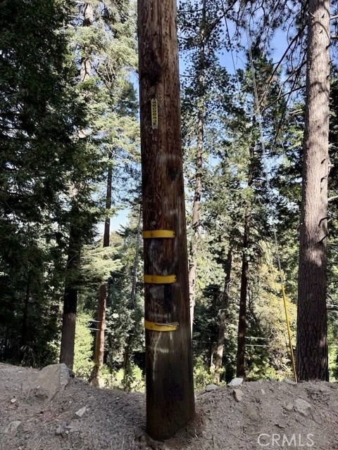 0 Burnt Mill Canyon Road, Cedarpines Park CA: https://media.crmls.org/medias/89abfd9c-b6c3-4b85-9c36-24daedf536a1.jpg