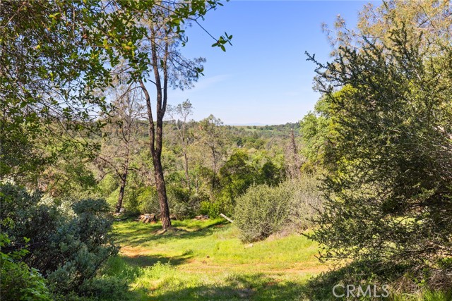 Detail Gallery Image 8 of 20 For 0 Louise, Oroville,  CA 95965 - – Beds | – Baths