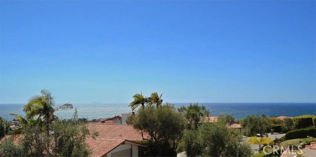 Ocean & Catalina Island View