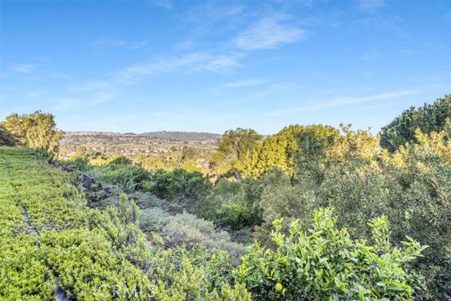 Detail Gallery Image 43 of 58 For 25281 via Piedra Blanca, Laguna Niguel,  CA 92677 - 3 Beds | 3 Baths