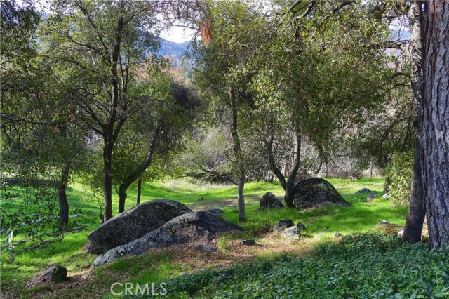 Detail Gallery Image 60 of 70 For 49873 Sunset, Coarsegold,  CA 93614 - 3 Beds | 2 Baths