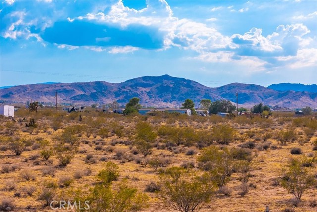 Detail Gallery Image 52 of 75 For 2250 Delgada Ave, Landers,  CA 92285 - 1 Beds | 1 Baths