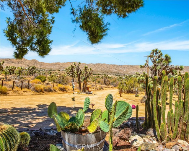 Detail Gallery Image 4 of 57 For 8259 Eneva St, Yucca Valley,  CA 92284 - 3 Beds | 3 Baths