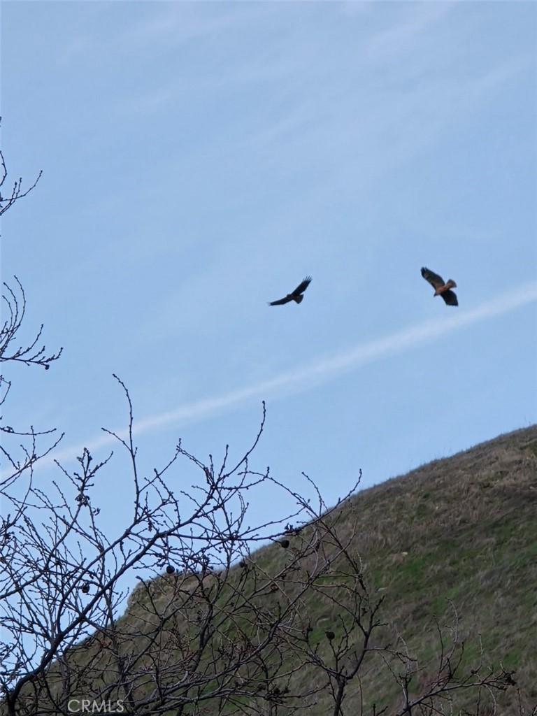 MLS #SC24199034 image #38