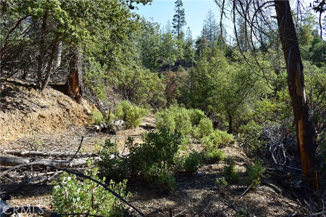 Detail Gallery Image 18 of 48 For 0 Incense Cedar Trl, Groveland,  CA 95321 - – Beds | – Baths