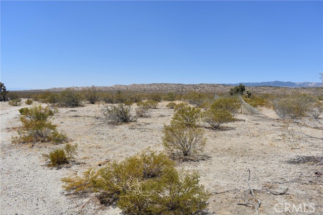 1 170th St W and s/o Irone Ave, Rosamond CA: https://media.crmls.org/medias/89dc18cf-eaa5-4b33-82d5-141f2394557e.jpg