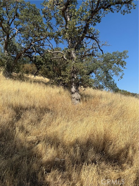 4722 Arroyo Avenue, Clearlake CA: https://media.crmls.org/medias/89de2c10-92d8-4417-8a53-459fe40db8e4.jpg