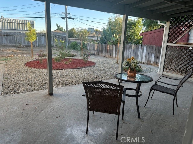 Backyard - 8-7-2025