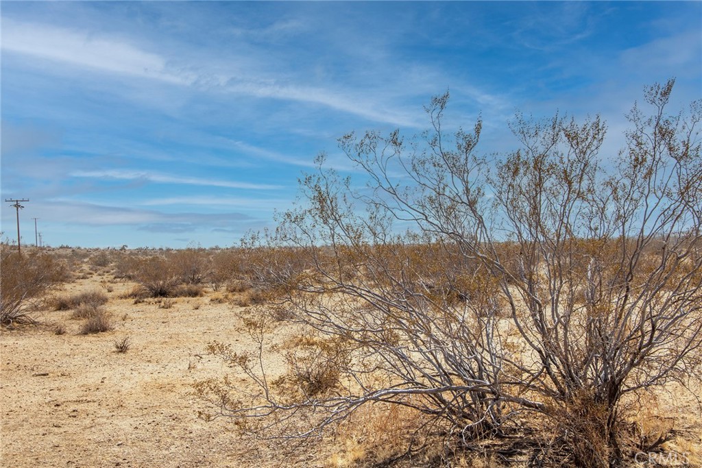 MLS #JT25183388 image #7