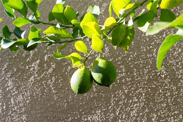 MLS #SW25242306 image #34