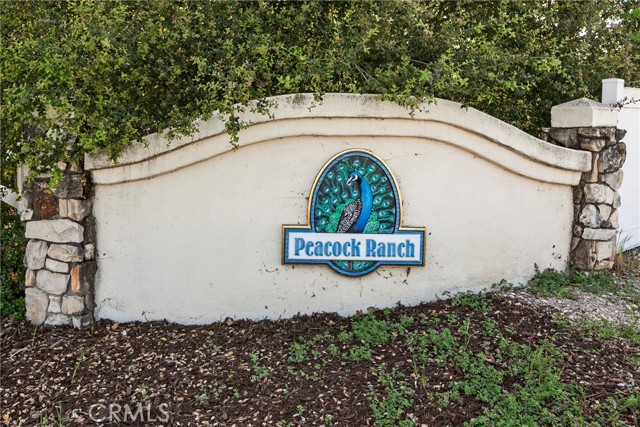 Detail Gallery Image 44 of 48 For 1609 Tanager Ct, Templeton,  CA 93465 - 4 Beds | 3 Baths