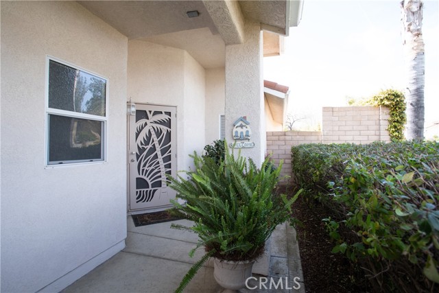 Side yard with a door into the garage.