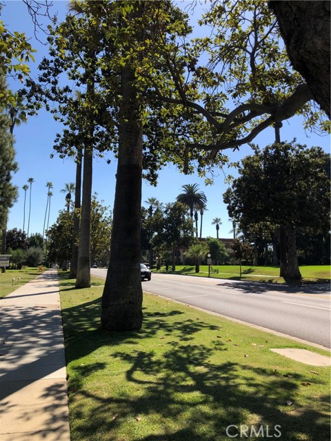 380 South Orange Grove Bl, 8 photo 3