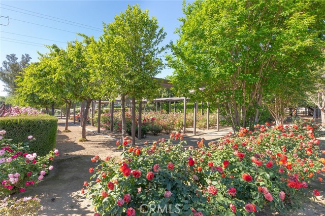 Detail Gallery Image 51 of 75 For 23965 Lawson Rd, Corona,  CA 92883 - 4 Beds | 3/1 Baths