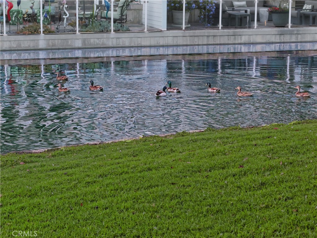 https://media.crmls.org/medias/89fd82d3-b4e4-4980-9b2d-8e7be1f27d84.jpg?preset=X-Large