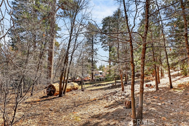 Detail Gallery Image 10 of 23 For 0 Cepu Rd, Running Springs,  CA 92382 - – Beds | – Baths