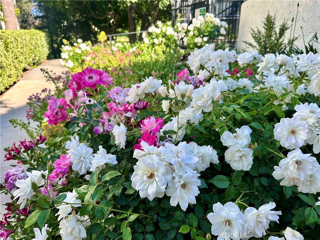 https://media.crmls.org/medias/8a02275a-069d-4741-a852-8941c06267ae.jpg?preset=X-Large