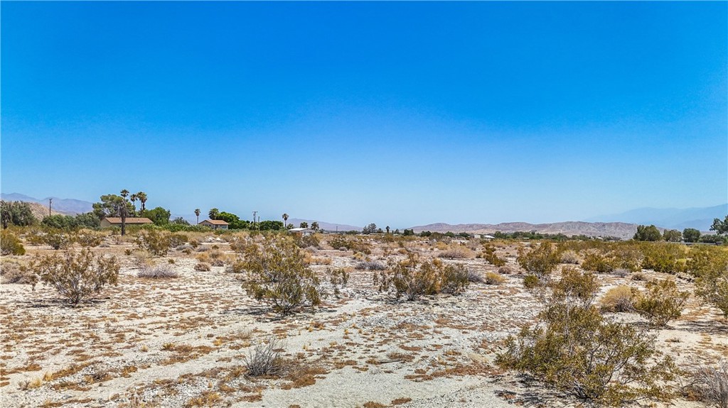 MLS #JT24133098 image #6