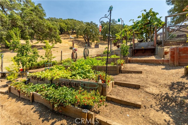 9555 Santa Cruz Road, Atascadero CA: https://media.crmls.org/medias/8a076ba3-7081-419f-80cc-8c43337309a5.jpg
