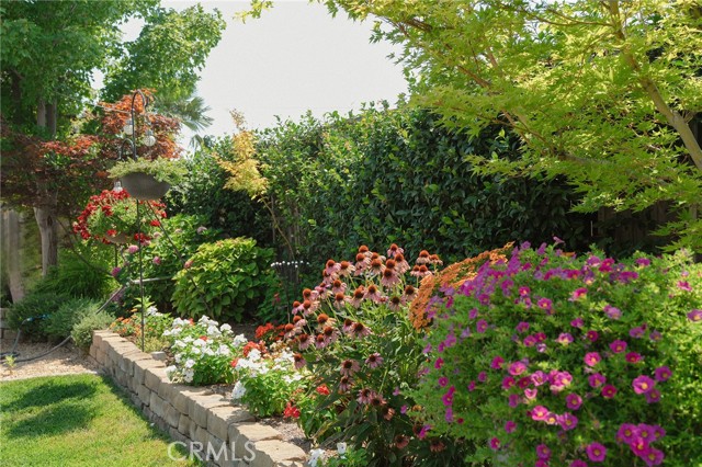 3255 Sespe Creek Way, Chico CA: https://media.crmls.org/medias/8a096ae6-ba19-4855-b800-f735b20543bd.jpg