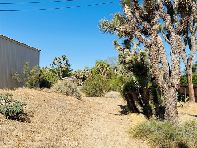 56476 Desert Gold Drive, Yucca Valley CA: https://media.crmls.org/medias/8a09a53b-8cfe-44ed-a19e-bdcf82b85e92.jpg