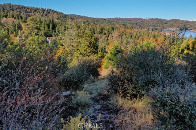 202 Hidden Forest Road, Lake Arrowhead, California 92352, ,Land,For Sale,202 Hidden Forest Road,CREV23214554