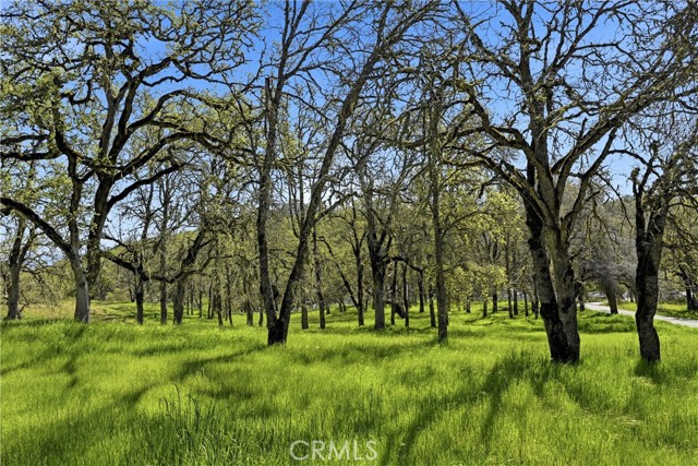 Detail Gallery Image 7 of 14 For 726 Park, Lakeport,  CA 95453 - – Beds | – Baths