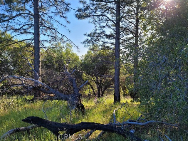 Detail Gallery Image 13 of 19 For 3512 Skycrest Dr, Oroville,  CA 95965 - – Beds | – Baths