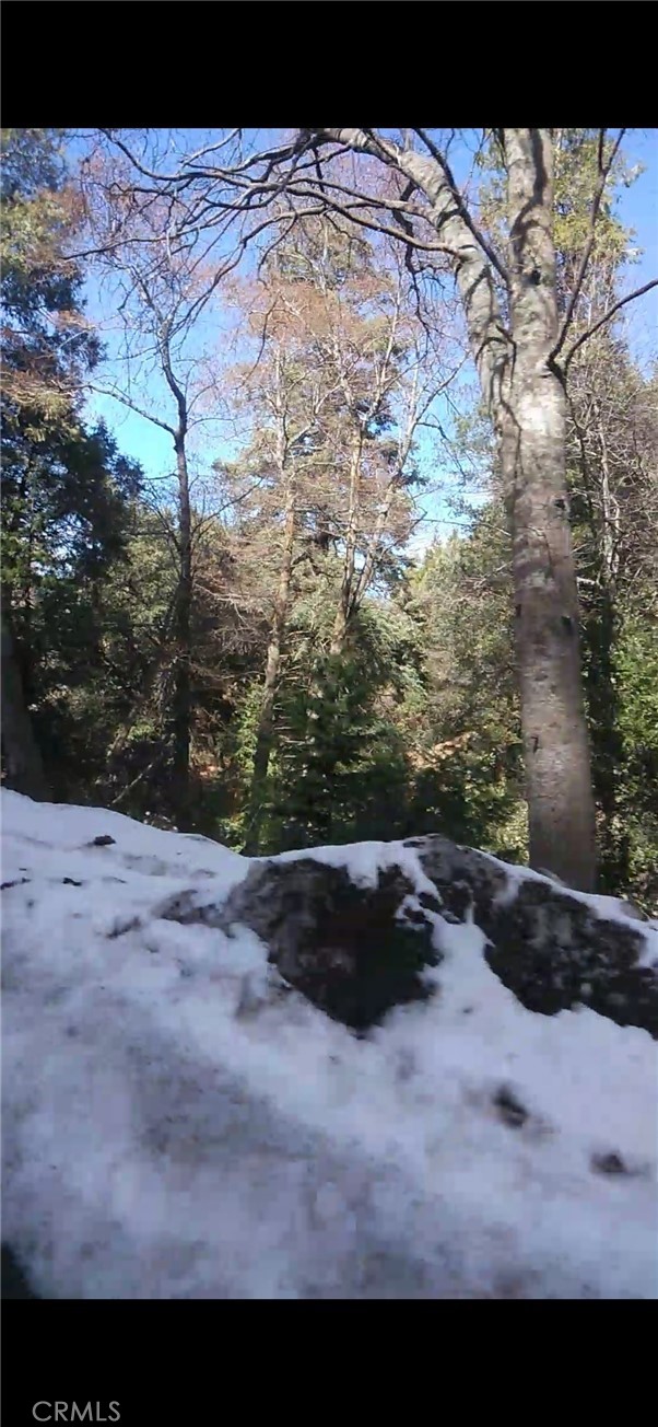 0 Saxon, Crestline CA: https://media.crmls.org/medias/8a11badb-76c4-4a4a-be9c-3b7cd4ab7e2c.jpg
