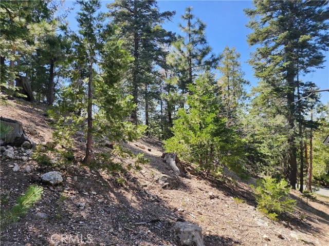Detail Gallery Image 14 of 20 For 0 Pyramid Dr, Lake Arrowhead,  CA 92352 - – Beds | – Baths