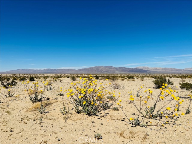 Detail Gallery Image 2 of 15 For 0 Near Shelton Rd, Twentynine Palms,  CA 92277 - – Beds | – Baths