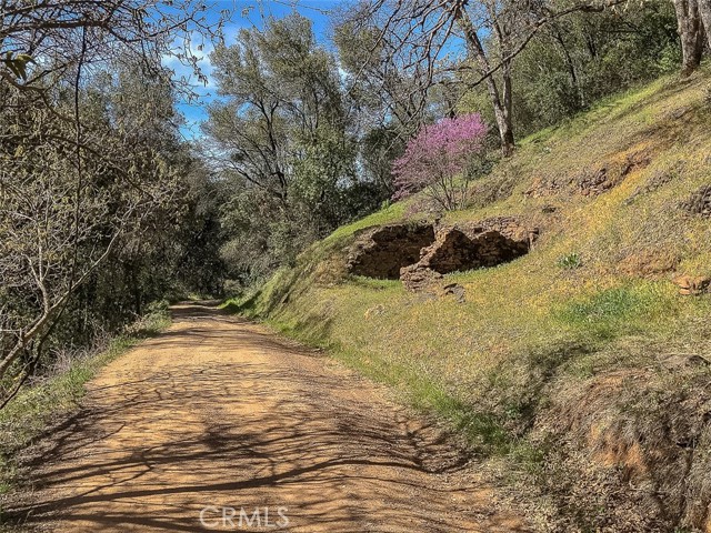 Detail Gallery Image 8 of 43 For 4743 Buffalo Gulch Rd, Midpines,  CA 95345 - – Beds | – Baths