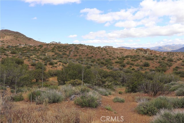 0 Vac/Cor Mountain Spring/Carrol, Acton, California 93510, ,Land,For Sale,0 Vac/Cor Mountain Spring/Carrol,CRSR23077660