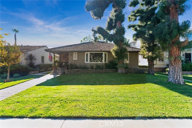 Front Image Thumbnail for CRSR25238726