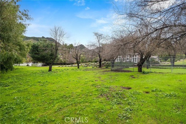31041 Lobo Canyon Road photo 7