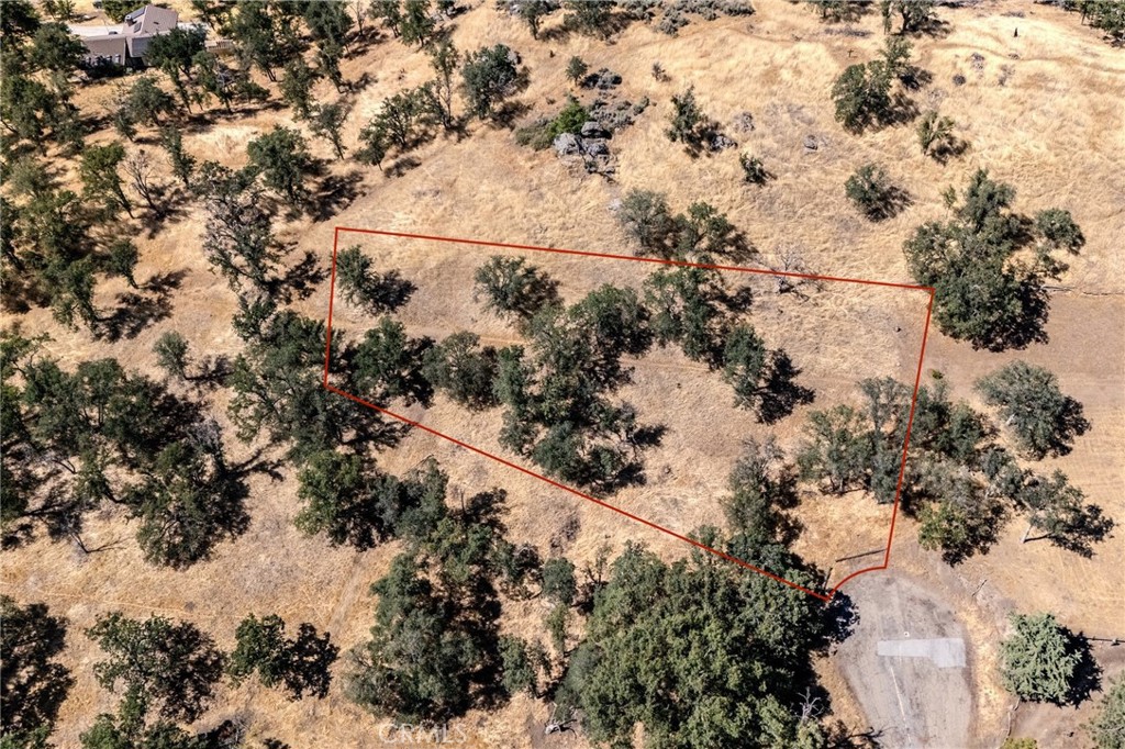 MLS #PI25150559 img 4