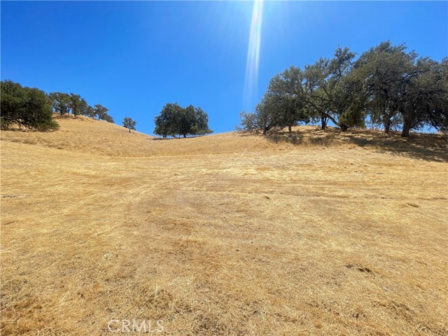 Detail Gallery Image 10 of 23 For 2964 Little Creek Ln., Paso Robles,  CA 93446 - 3 Beds | 2 Baths