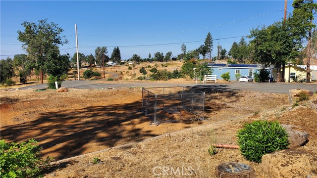 5325 Black Olive Drive, Paradise, California 95969, ,Land,For Sale,5325 Black Olive Drive,CRSN23197459